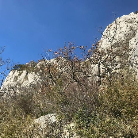 Chambre En Ardeche Du Sud Saint-Remeze Экстерьер фото