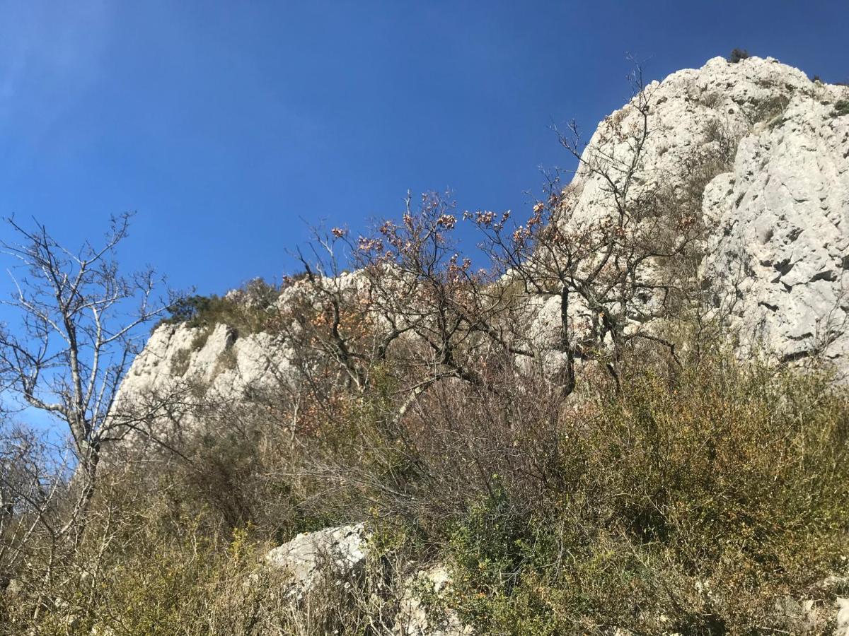 Chambre En Ardeche Du Sud Saint-Remeze Экстерьер фото